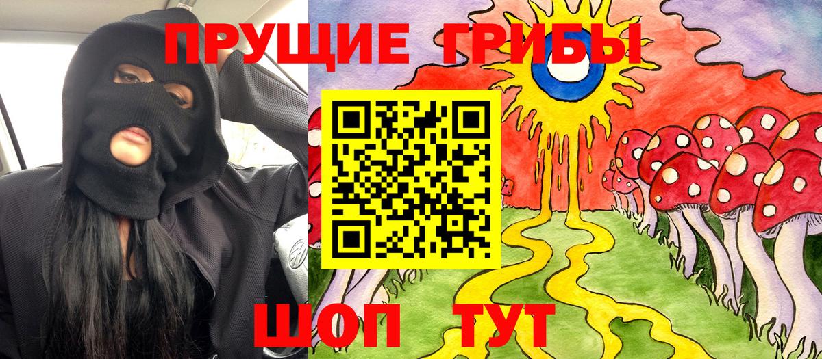 Галлюциногенные грибы мицелий  Галлюциногенные грибы Psilocybine cubensis  Вход с VPN  Карпинск 