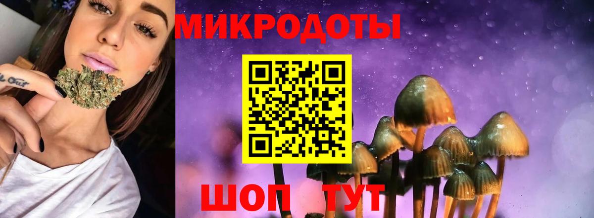 Псилоцибиновые грибы прущие грибы Карпинск